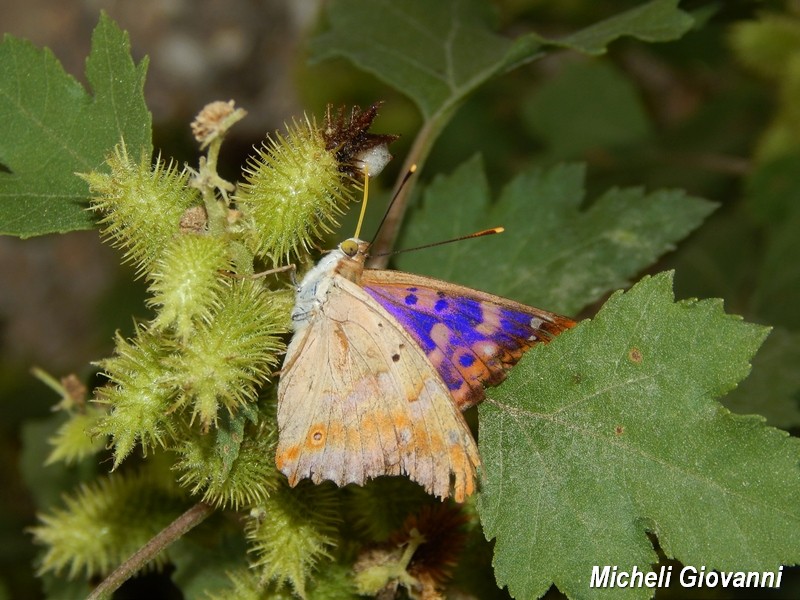 Parco del Ticino : incontri del 12/9/15